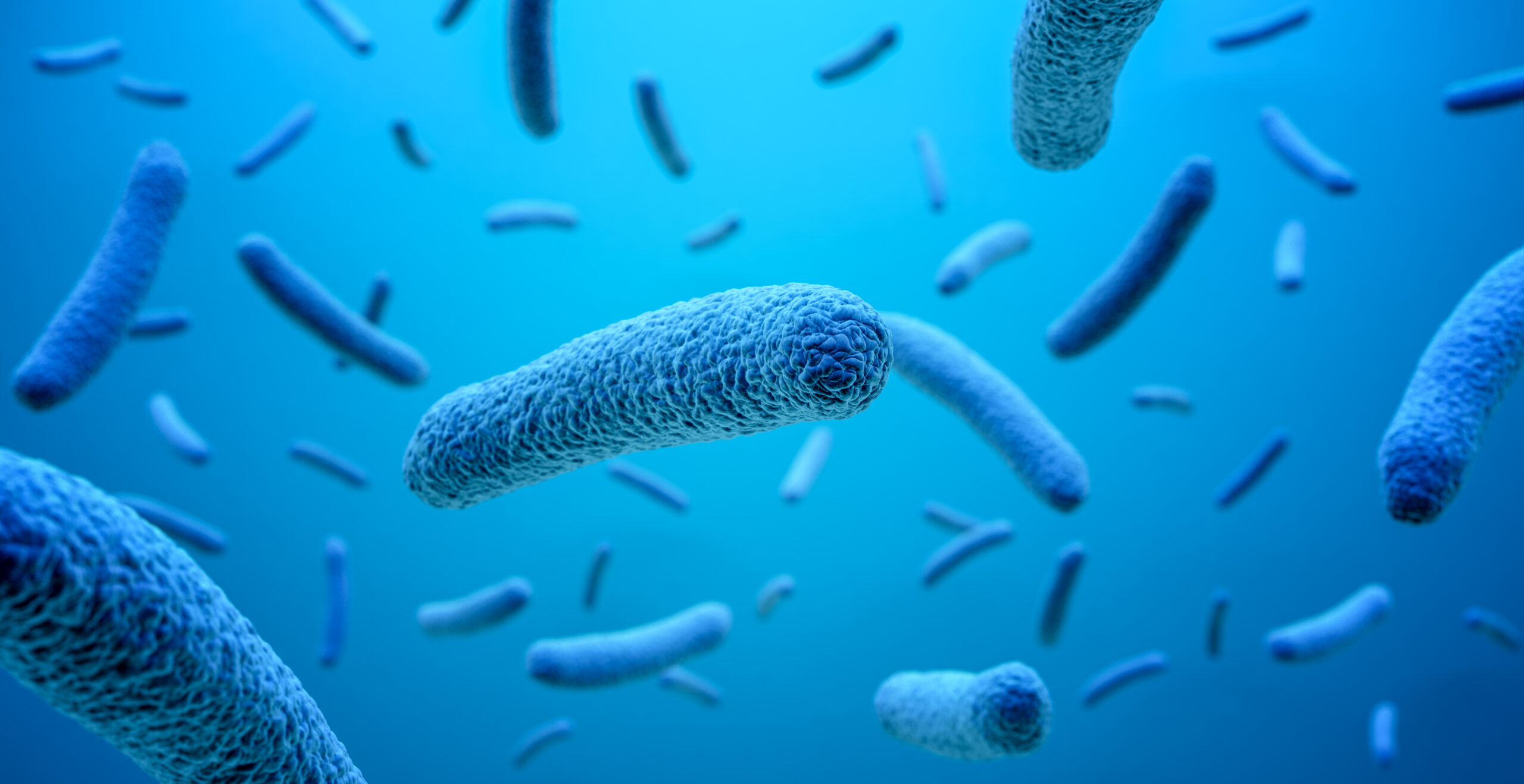 legionella risk assessment